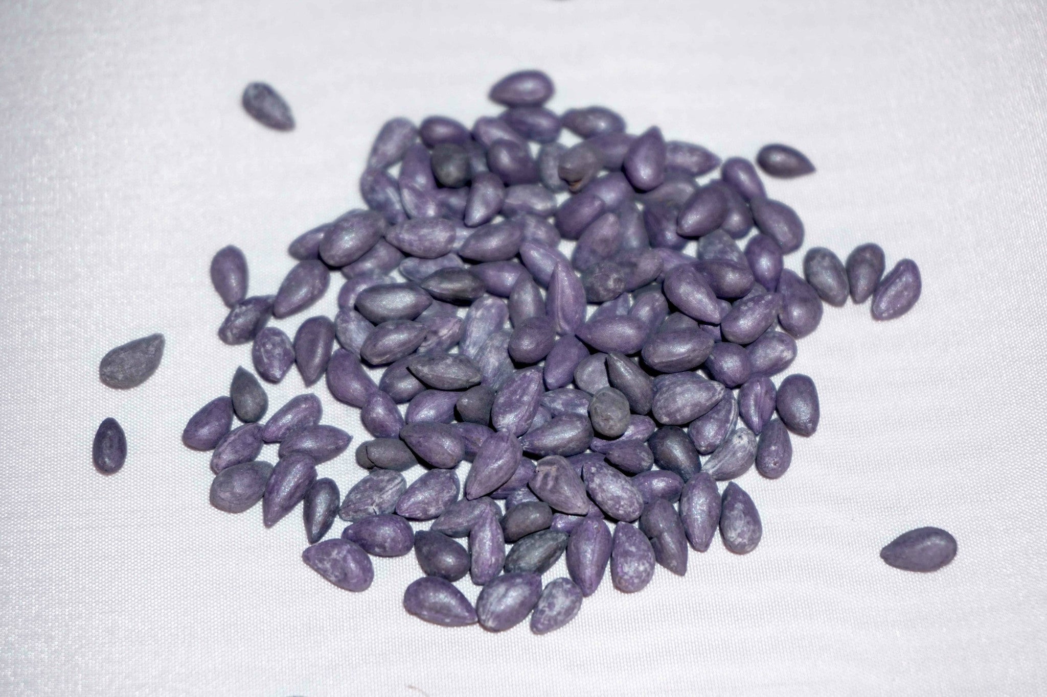 Pure White Cotton Seed