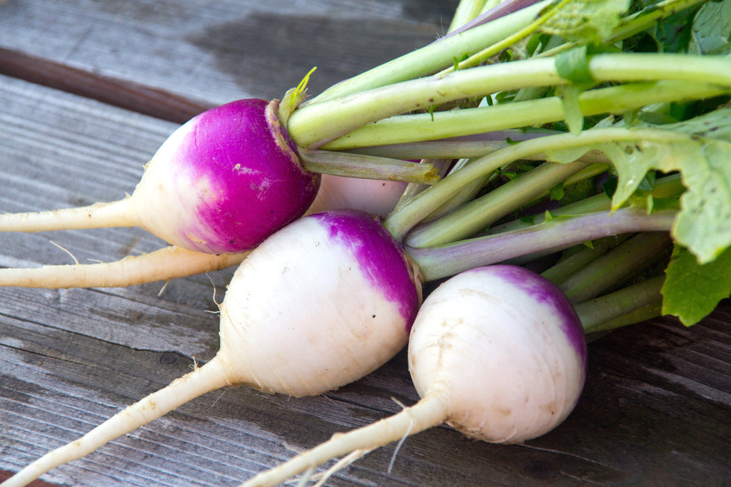 Thunder Acres Purple Top Turnips Seeds